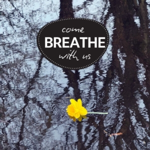 Come Breathe with us