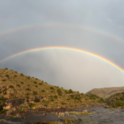 rainbow